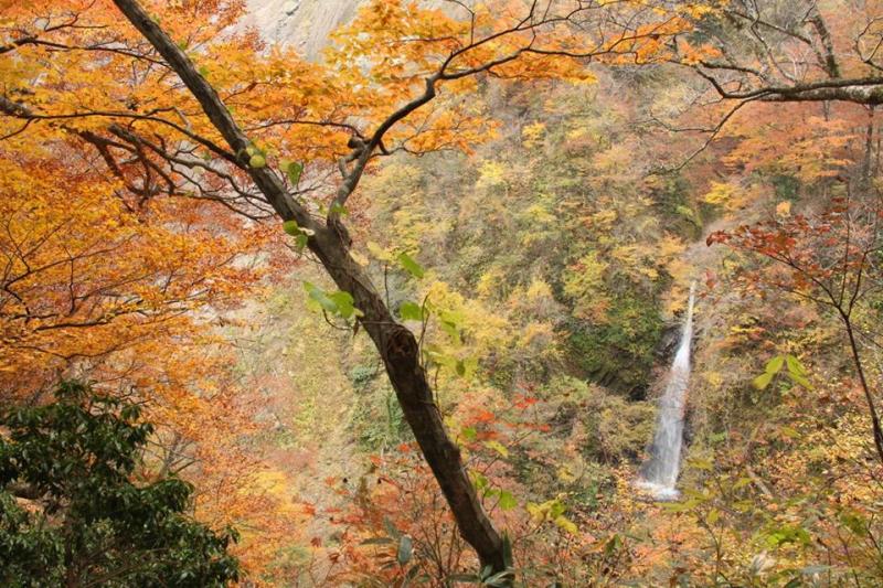 大山古道　紅葉の大山滝